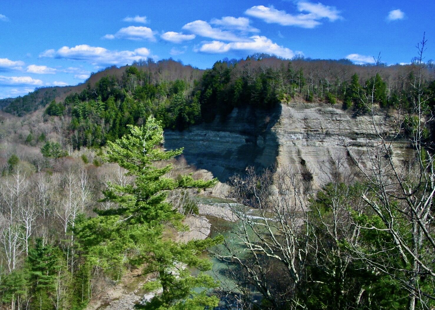 Zoar Valley gorge with shale cliffs and lush green forest