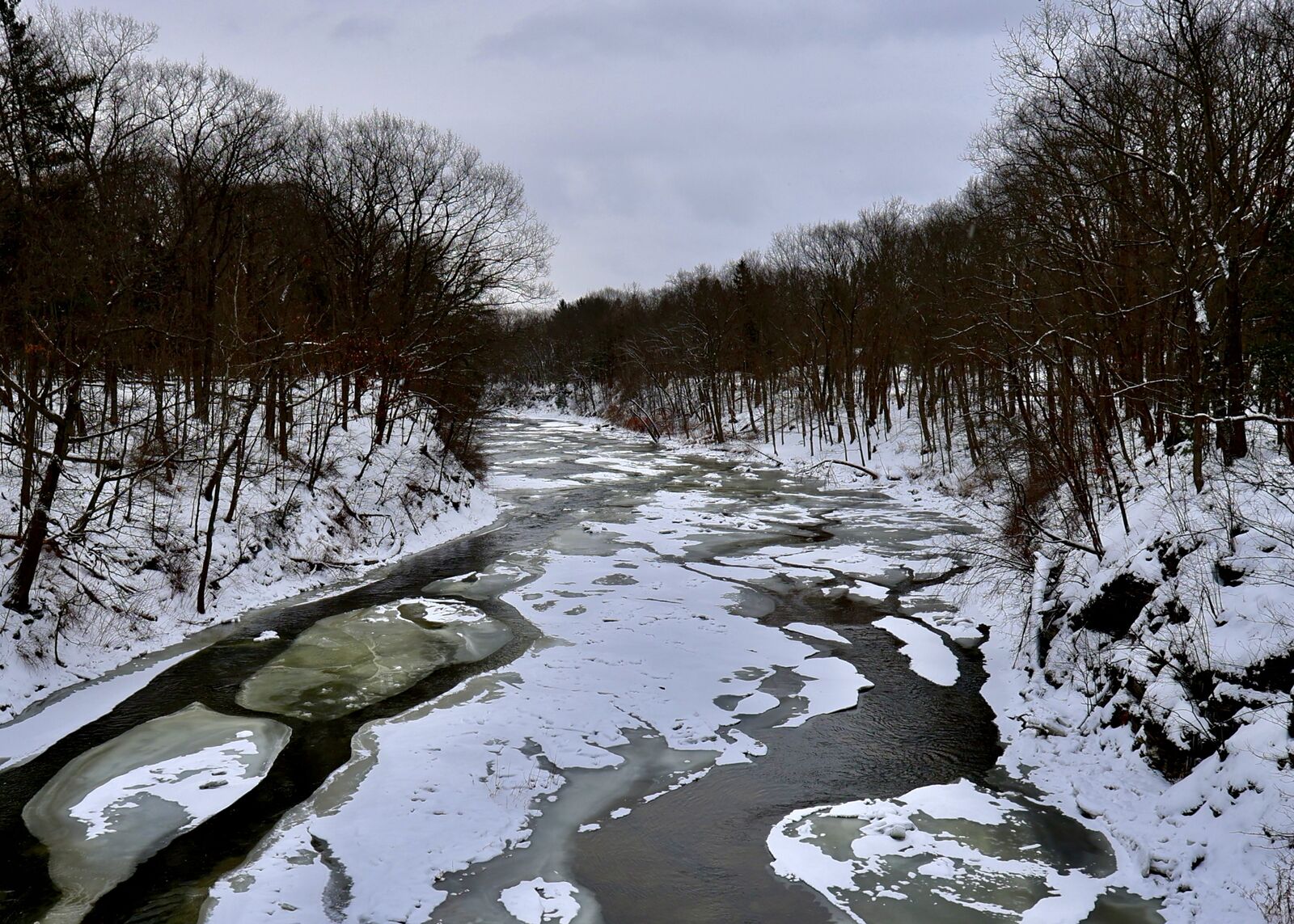 Icy creek winding through snow-covered woods in Hamburg