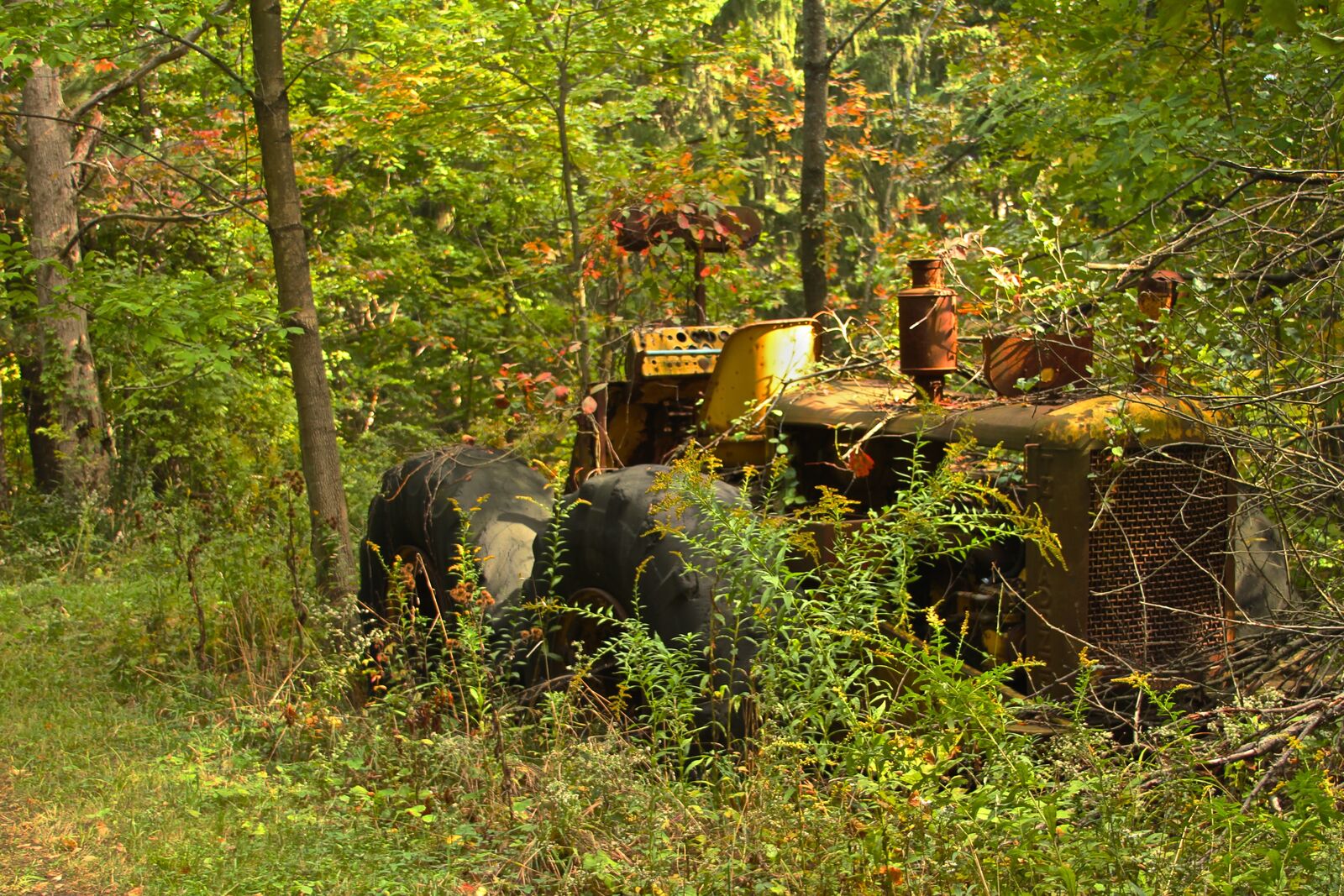 Old tractor overgrown with vegetation in the woods near Orchard Park