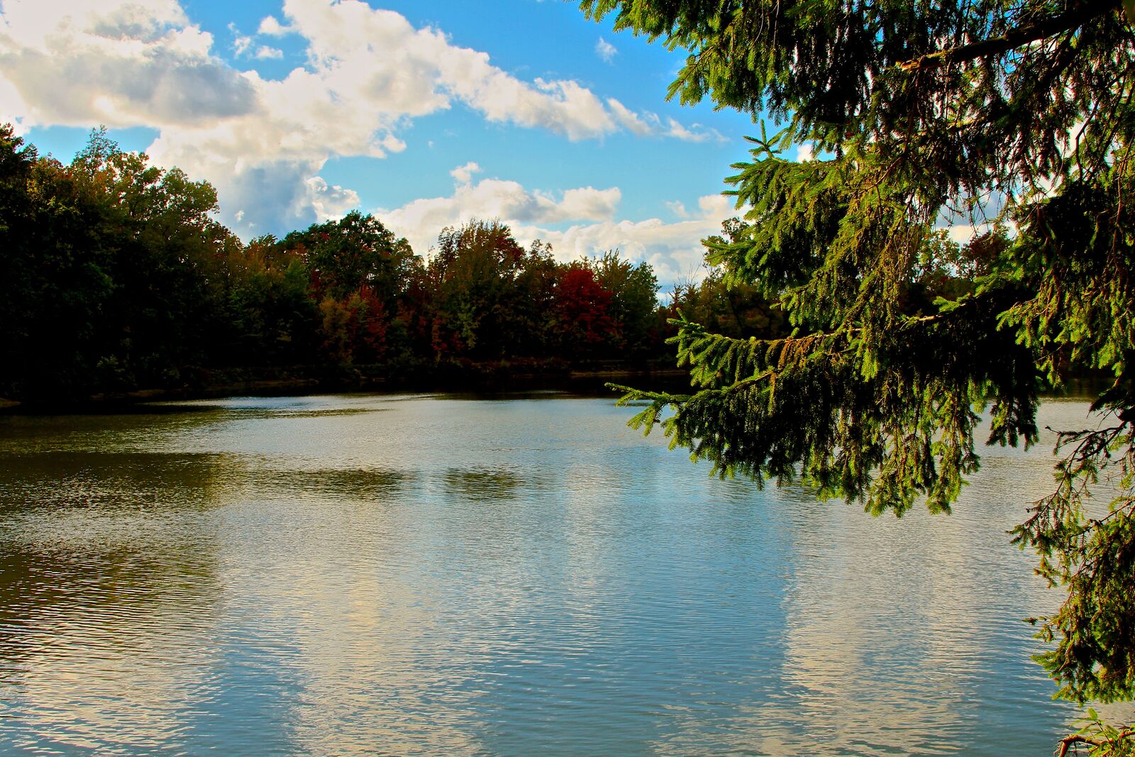 Calm lake surrounded by fall foliage in Orchard Park